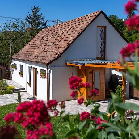 Σπίτι διακοπών Malomvoelgyi Vendeghaz Balatonalmádi