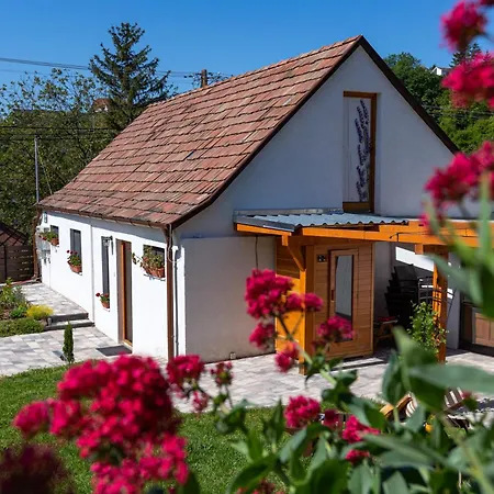 בית נופש Malomvoelgyi Vendeghaz Balatonalmádi